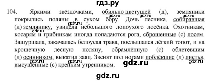 ГДЗ по русскому языку за 7 класс Баранов, Ладыженская, Тростенцова ответ на номер 104, Решебник 2022 №1