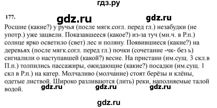 ГДЗ по русскому языку за 7 класс Баранов, Ладыженская, Тростенцова ответ на номер 177, Решебник 2023-2024