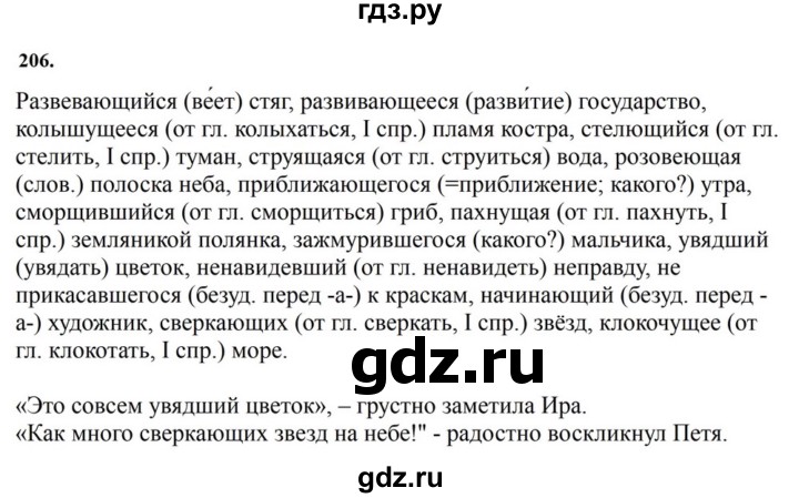 ГДЗ по русскому языку за 7 класс Баранов, Ладыженская, Тростенцова ответ на номер 206, Решебник 2023-2024