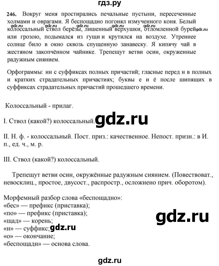 ГДЗ по русскому языку за 7 класс Баранов, Ладыженская, Тростенцова ответ на номер 246, Решебник 2023-2024