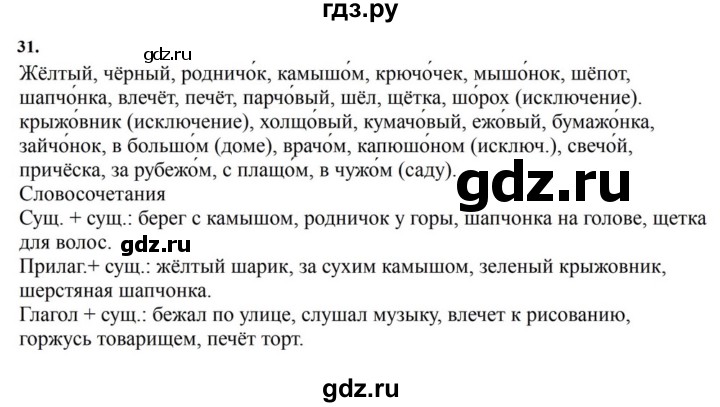 ГДЗ по русскому языку за 7 класс Баранов, Ладыженская, Тростенцова ответ на номер 31, Решебник 2023-2024