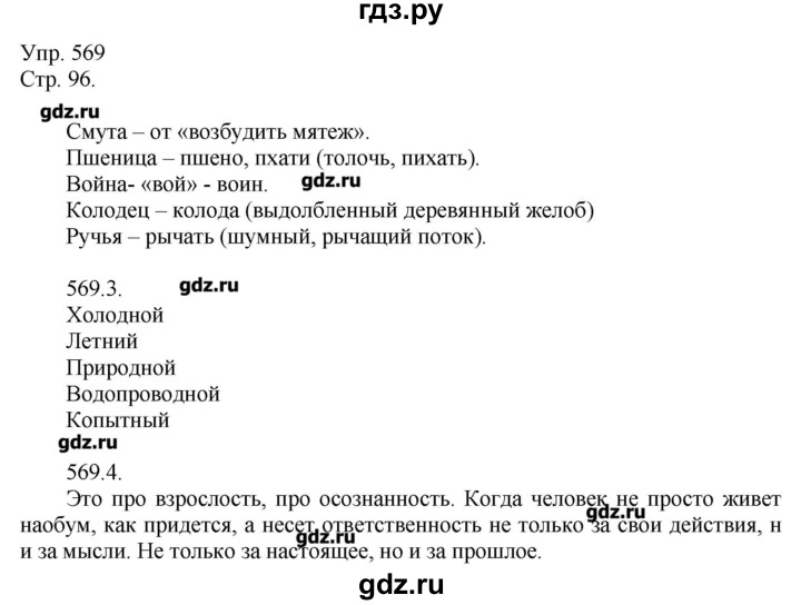 ГДЗ по русскому языку 7 класс  Львова   упражнение - 569, Решебник №1