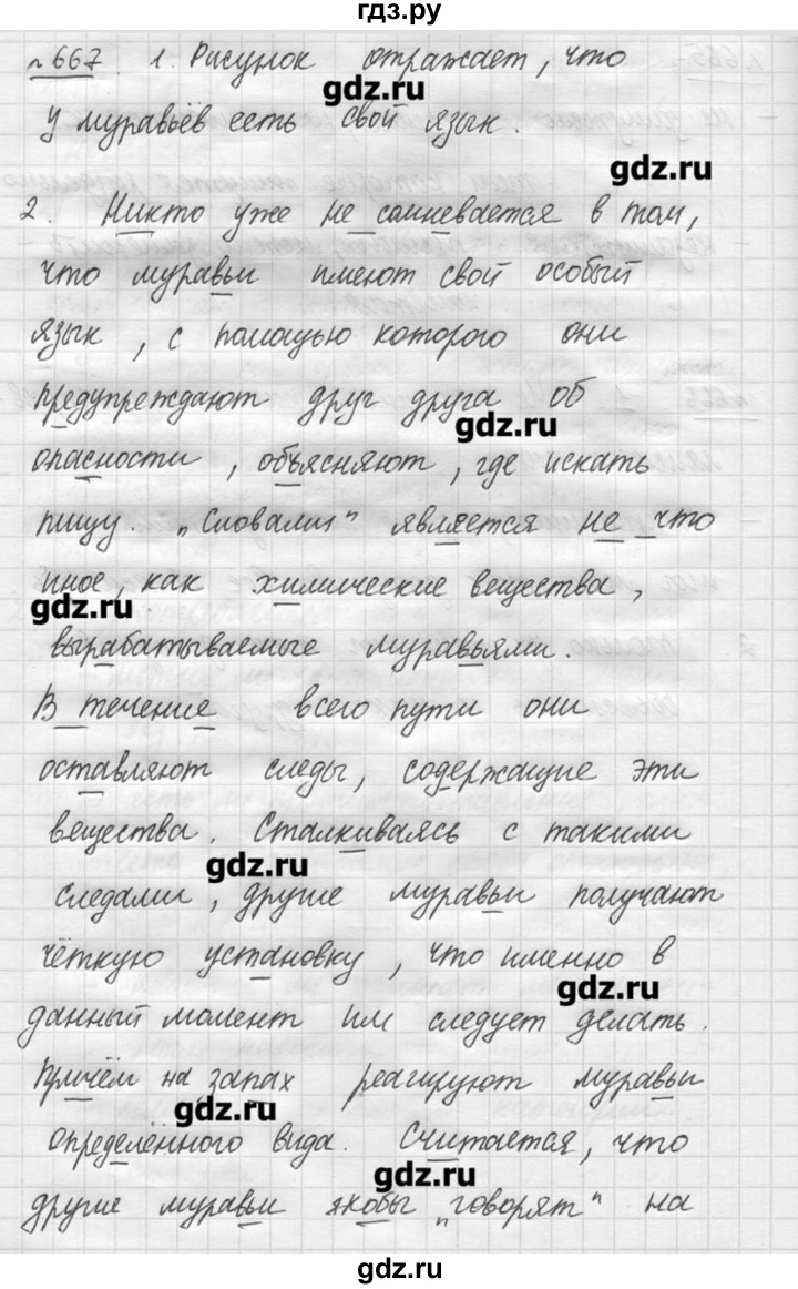 ГДЗ по русскому языку 7 класс  Львова   упражнение - 667, решебник №3