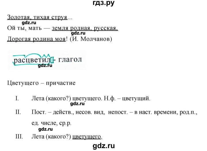 ГДЗ по русскому языку 8 класс  Ладыженская   упражнение - 309, Решебник №1