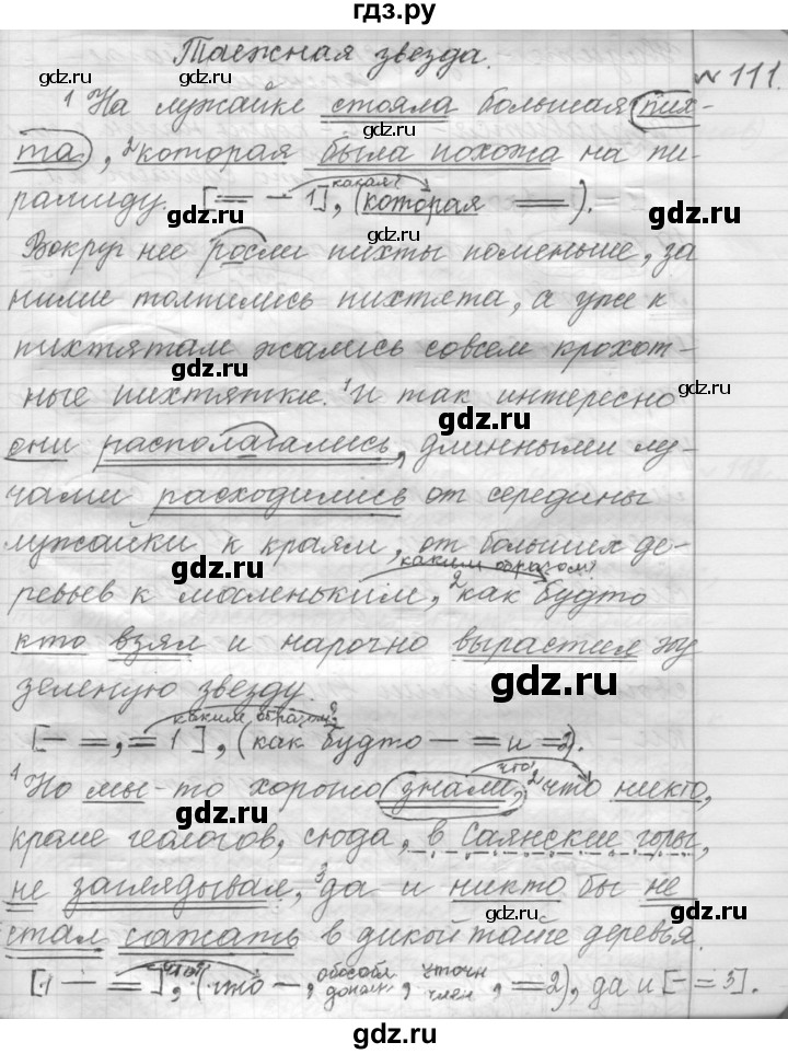 ГДЗ по русскому языку 9 класс  Пичугов Практика  упражнение - 111, Решебник к учебнику 2015