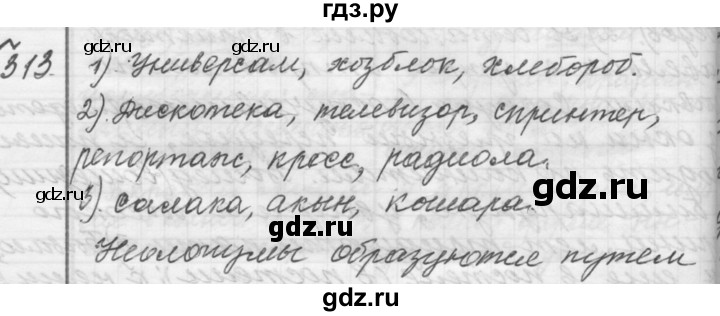 ГДЗ по русскому языку 9 класс  Пичугов Практика  упражнение - 313, Решебник к учебнику 2015