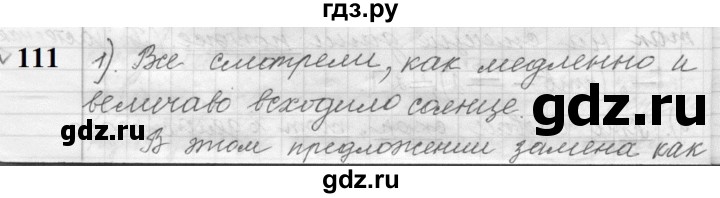 ГДЗ по русскому языку 9 класс  Пичугов Практика  упражнение - 111, Решебник к учебнику 2022