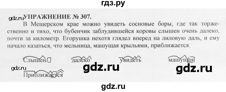 ГДЗ по русскому языку 10‐11 класс  Греков   упражнение - 307, решебник
