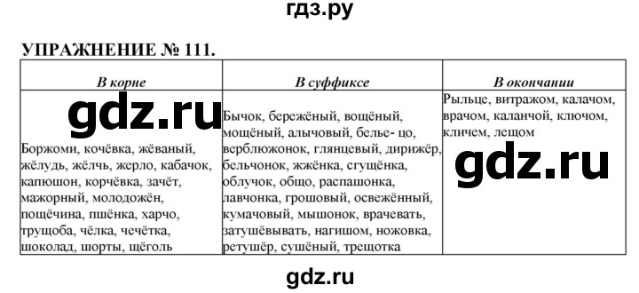 Класс упражнение 111. Русский язык 10 класс 111 упражнение. Русский 6 класс упражнение 111.