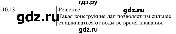 ГДЗ по физике 7‐9 класс Лукашик сборник задач  §10 - 10.13 [206], Решебник 2023