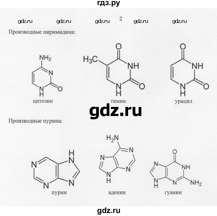 ГДЗ по химии 10 класс Рудзитис  Базовый уровень §39 - 2, Решебник