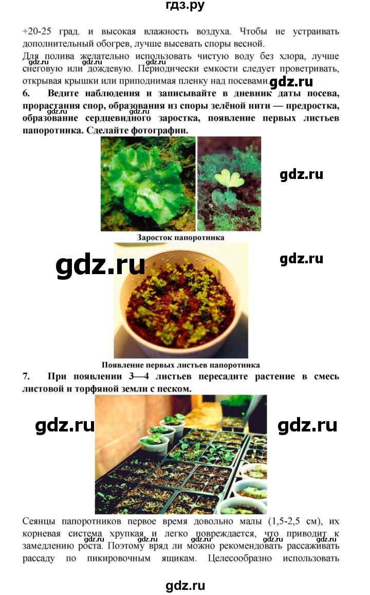 ГДЗ по биологии 6 класс Пасечник   § 22. Размножение споровых растений  - Задания для любознательных, решебник