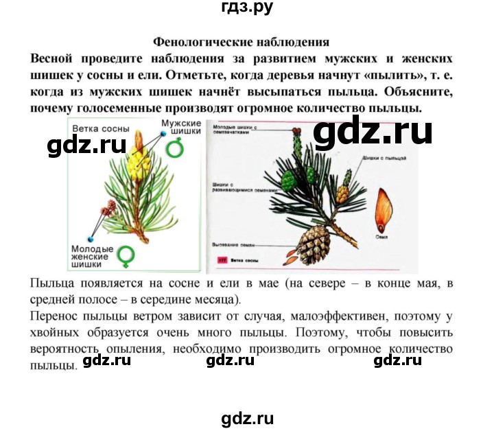 ГДЗ по биологии 6 класс Пасечник   § 23. Размножение голосеменных растений  - Фенологические наблюдения, решебник