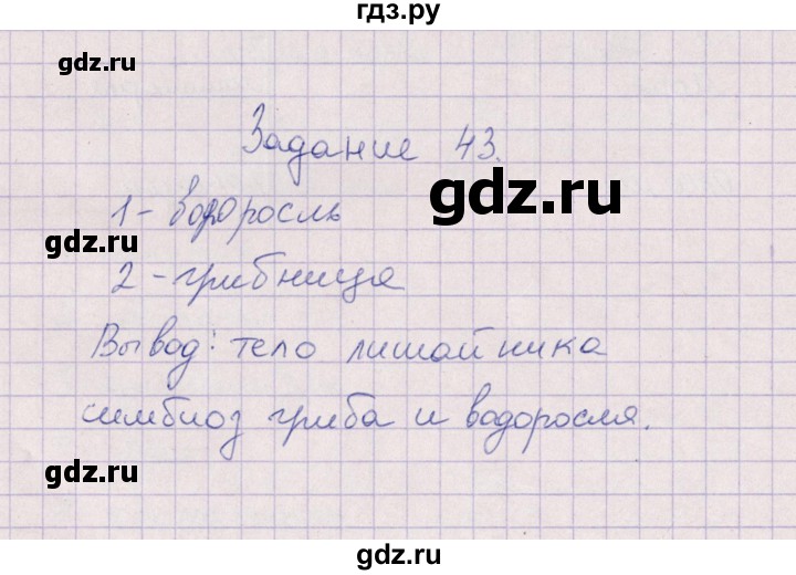 ГДЗ по биологии 6 класс  Пасечник рабочая тетрадь  задание - 43, Решебник