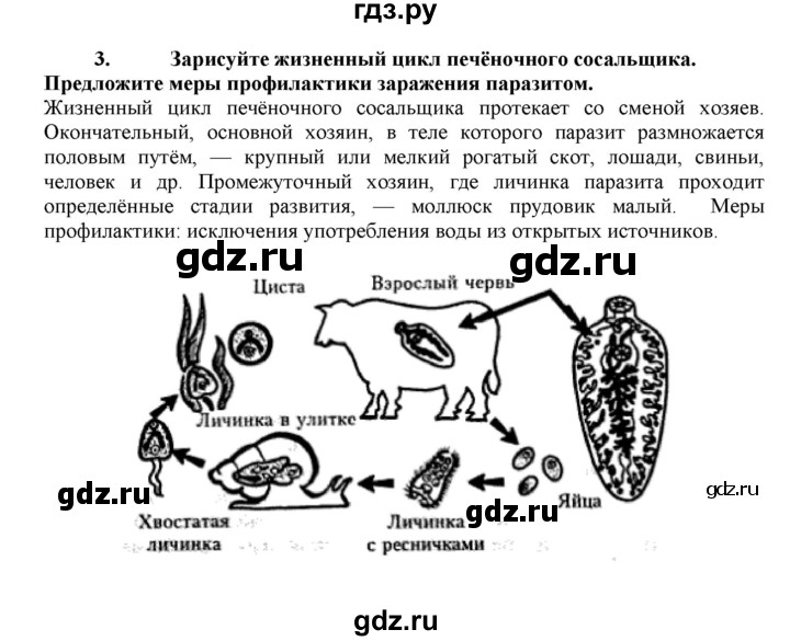 ГДЗ по биологии 7 класс  Захаров   Тип Плоские черви - 3, Решебник №1