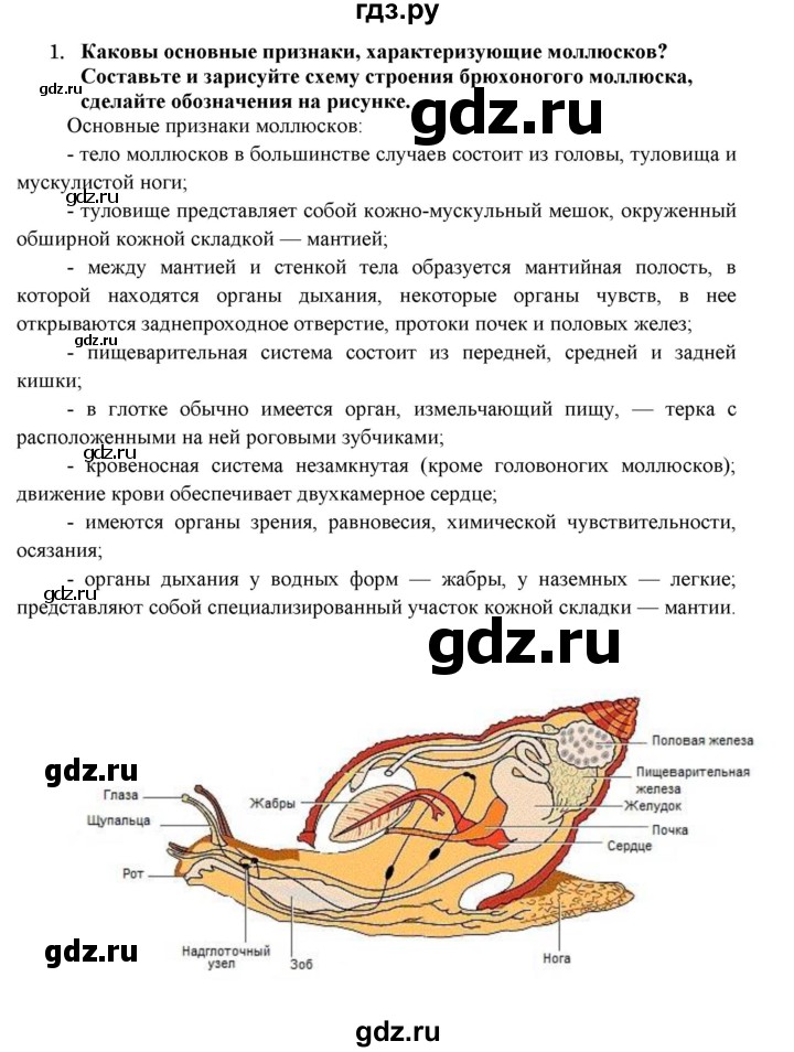 ГДЗ по биологии 7 класс  Захаров   Тип Моллюски - 1, Решебник №1