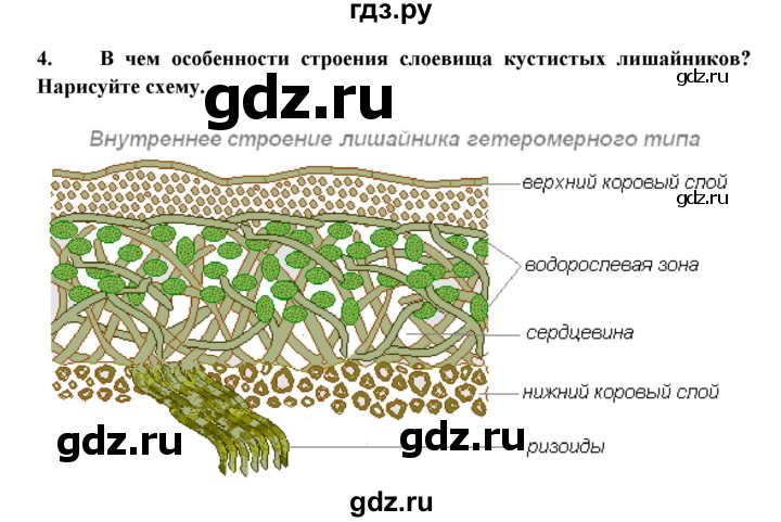 ГДЗ по биологии 7 класс  Захаров   Группа Лишайники - 4, Решебник №1