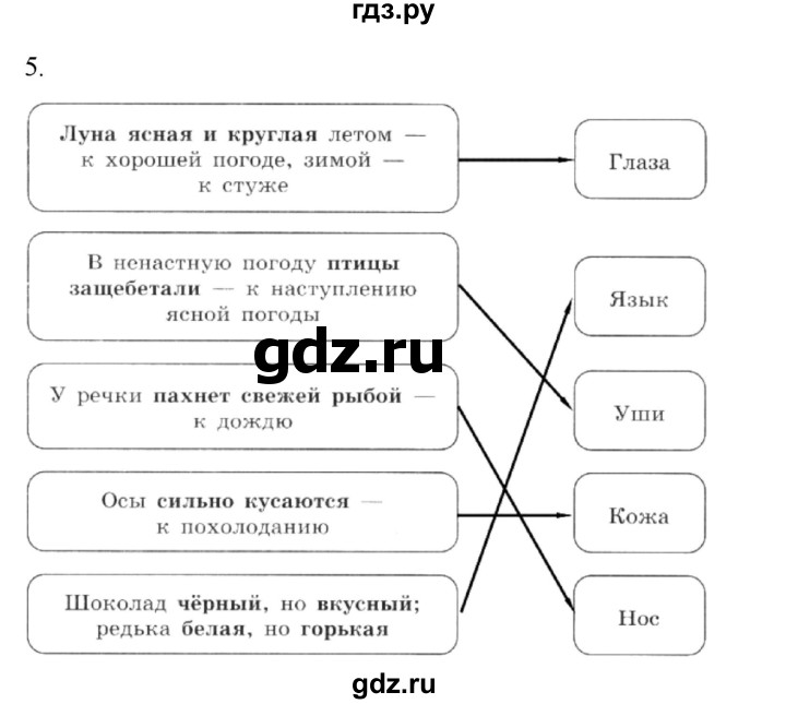 ГДЗ по информатике 5 класс Босова рабочая тетрадь Базовый уровень задание - 5, Решебник 2024