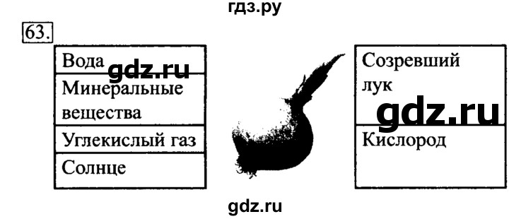 ГДЗ по информатике 6 класс  Босова   Рабочая тетрадь - 63, Решебник №2