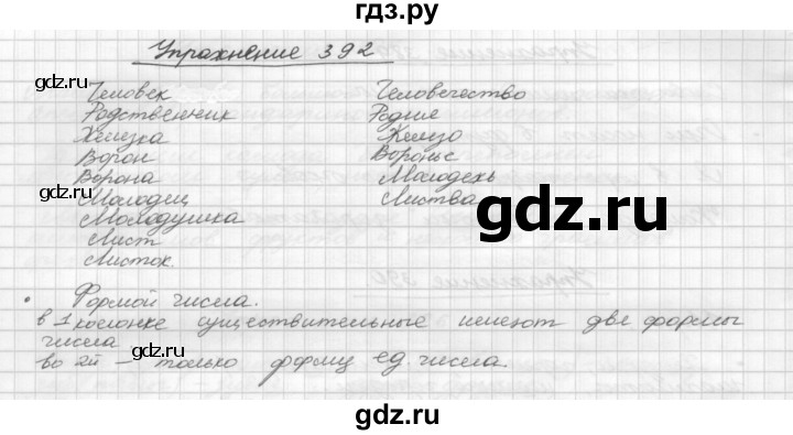 ГДЗ по русскому языку 5 класс  Бунеев   упражнение - 392, Решебник