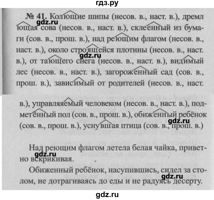 ГДЗ по русскому языку 7 класс Ефремова рабочая тетрадь (Баранов)  упражнение - 41, Решебник №2