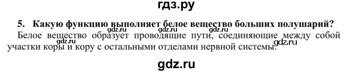 ГДЗ по биологии 9 класс Сапин Человек  Полушария большого мозга - 5, Решебник