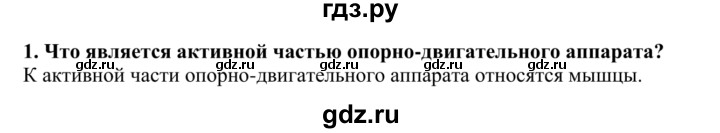 ГДЗ по биологии 9 класс Сапин Человек  Мышцы - 1, Решебник