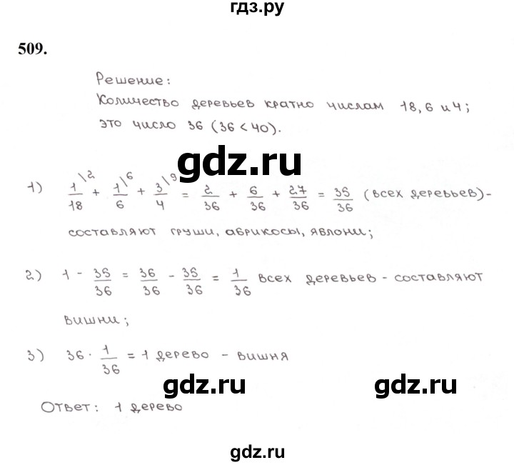 ГДЗ по математике 5 класс  Мерзляк рабочая тетрадь Базовый уровень номер - 509, Решебник к тетради 2023