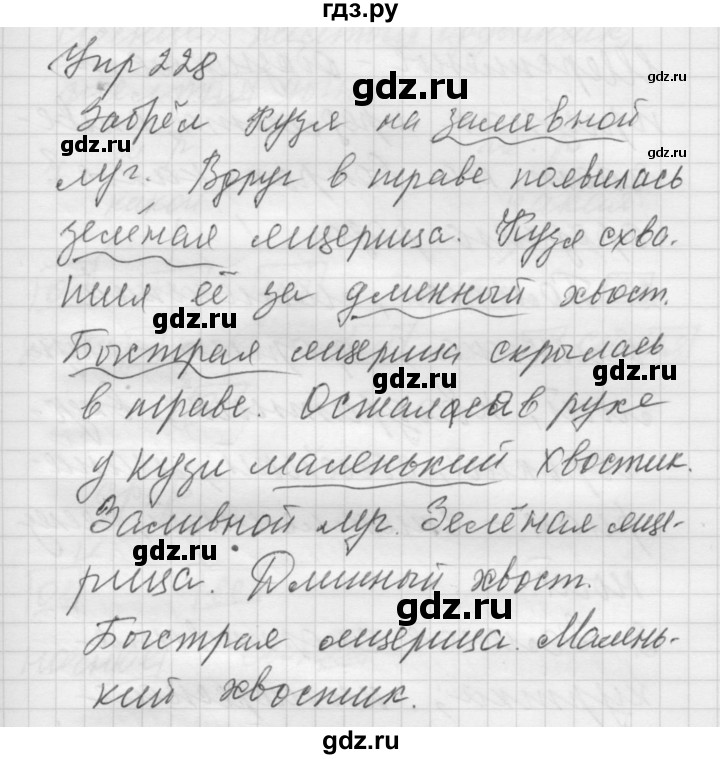 ГДЗ по русскому языку 5 класс  Якубовская Для обучающихся с интеллектуальными нарушениями  упражнение - 228, Решебник