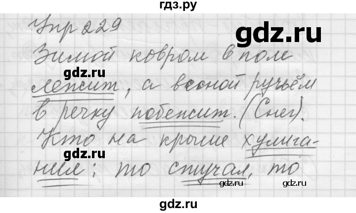 ГДЗ по русскому языку 5 класс  Якубовская Для обучающихся с интеллектуальными нарушениями  упражнение - 229, Решебник