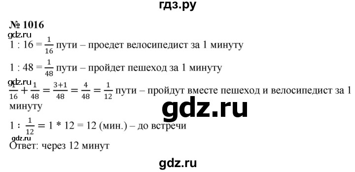 ГДЗ по математике 6 класс  Дорофеев  Базовый уровень глава 12 / упражнение - 1016, Решебник к учебнику 2019