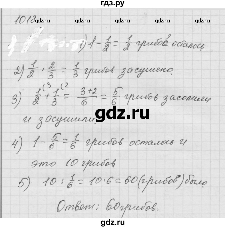 ГДЗ по математике 6 класс  Дорофеев  Базовый уровень глава 12 / упражнение - 1018, Решебник к учебнику 2014