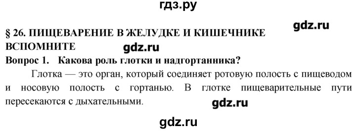 ГДЗ по биологии 8 класс  Пасечник   вспомните / 26 - 1, Решебник