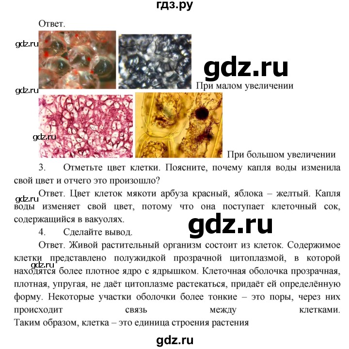 ГДЗ по биологии 5 класс Пономарева   лабораторная работа - 2, Решебник
