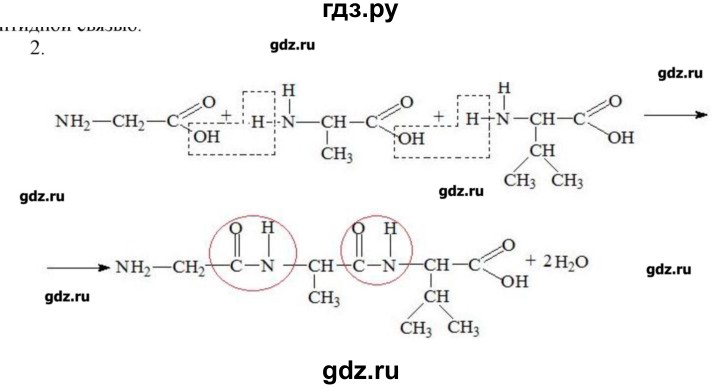 ГДЗ по химии 9 класс Кузнецова   параграф / § 51 - 2, Решебник № 1