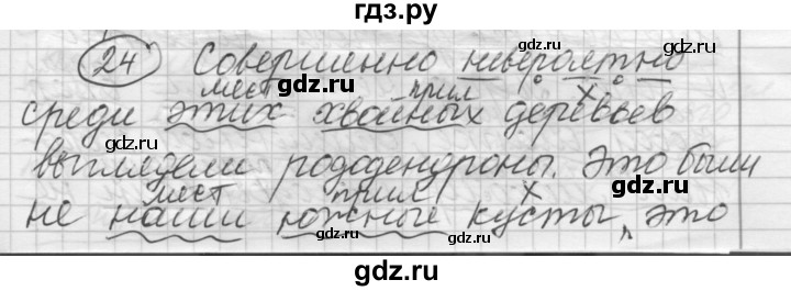 ГДЗ по русскому языку 7 класс Шмелев   глава 7 - 24, Решебник