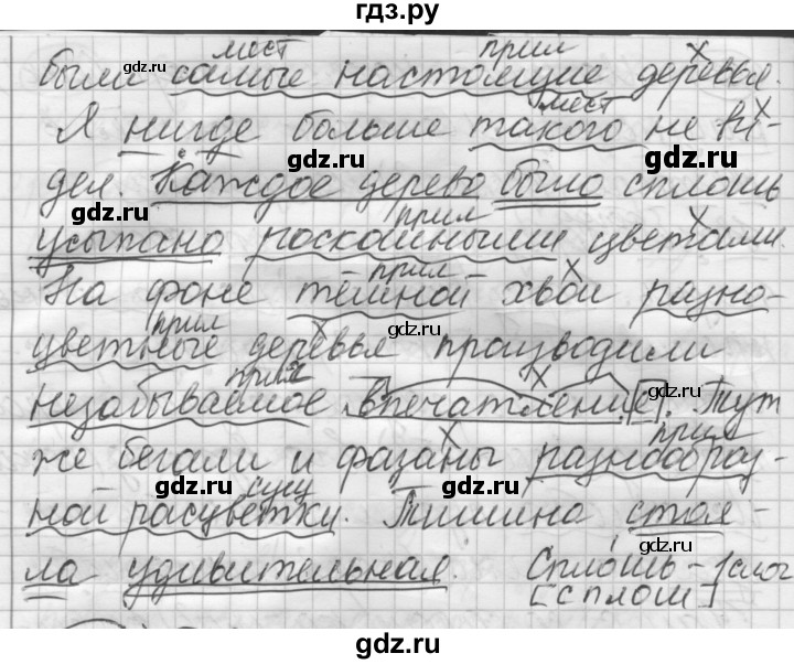 ГДЗ по русскому языку 7 класс Шмелев   глава 7 - 24, Решебник