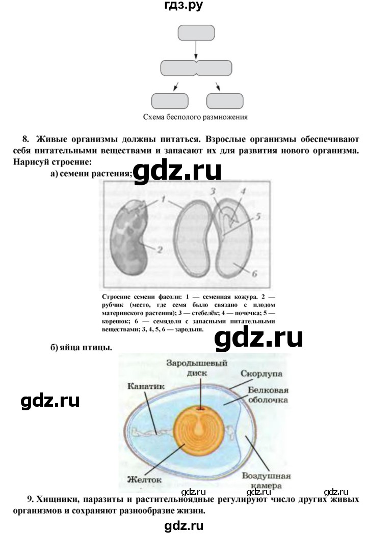 ГДЗ по биологии 5‐6 класс  Сухова   параграф - § 28, Решебник №1