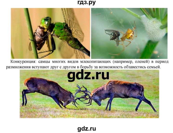 ГДЗ по биологии 5‐6 класс  Сухова   параграф - § 48, Решебник №1