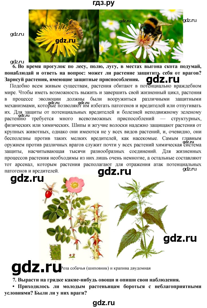 ГДЗ по биологии 5‐6 класс  Сухова   параграф - § 54, Решебник №1