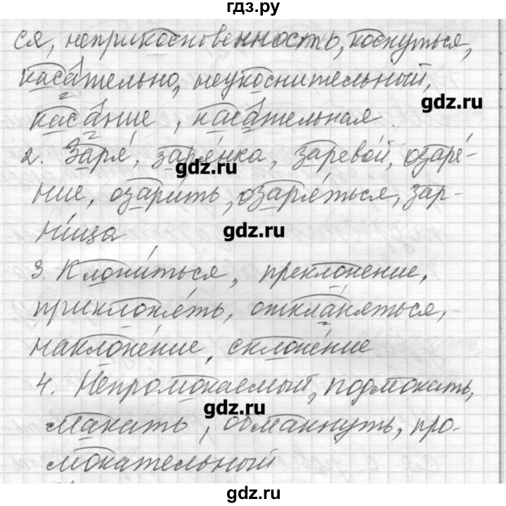 ГДЗ по русскому языку 8 класс Шмелев   глава 2 - 64, Решебник