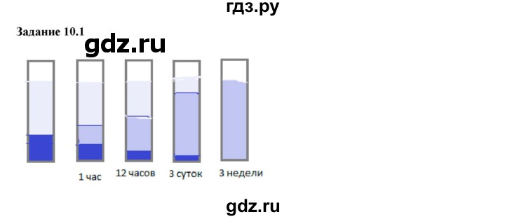 ГДЗ по физике 7 класс Ханнанова рабочая тетрадь (Перышкин) Базовый уровень §10 - 10.1, Решебник к тетради 2023