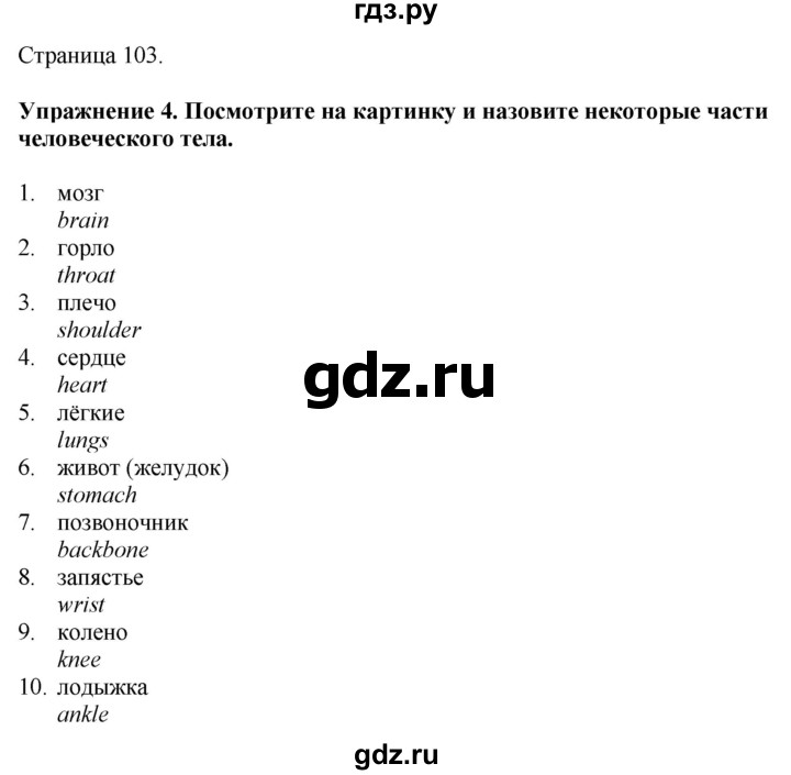 ГДЗ по английскому языку 7 класс Афанасьева Rainbow  часть 2. страница - 103, Решебник 2024