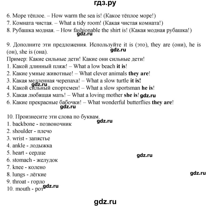 ГДЗ по английскому языку 7 класс Афанасьева rainbow   часть 2. страница - 97, Решебник №1