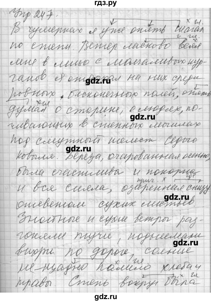 ГДЗ по русскому языку 7 класс Бунеев   упражнение - 247, Решебник