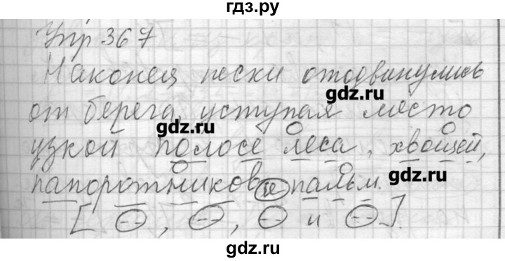 ГДЗ по русскому языку 7 класс Бунеев   упражнение - 367, Решебник