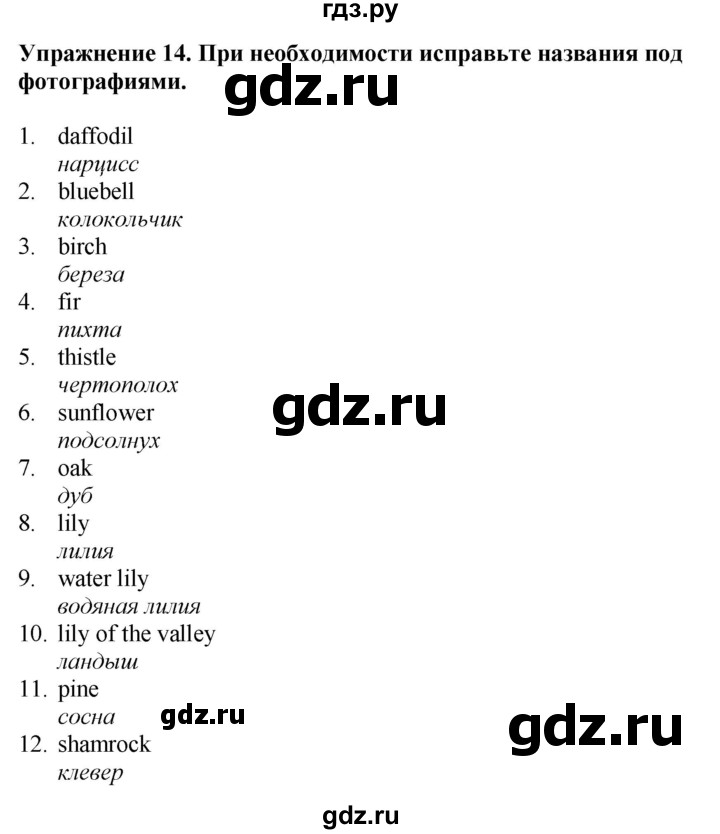 ГДЗ по английскому языку 7 класс Афанасьева рабочая тетрадь Rainbow  unit four - 14, Решебник 2024