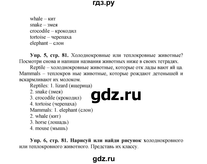 ГДЗ по английскому языку 3 класс Быкова Spotlight  часть 2. страница - 13 (81), Решебник №1 к учебнику 2015