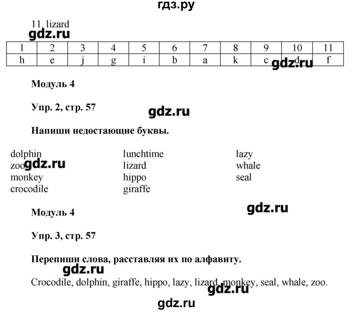 Упражнение 57 4 класс. Гдз по английскому 4 класс сборник упражнений Быкова. Гдз по английскому 4 класс сборник Быкова. Гдз по англ языку 4 класс сборник упражнений. Гдз по английскому языку 4 класс сборник упражнений Spotlight.
