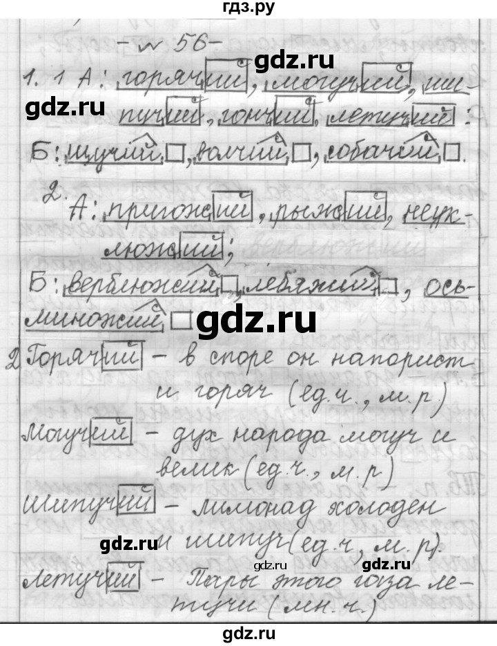 ГДЗ по русскому языку 6 класс Шмелев   глава 1 - 56, Решебник